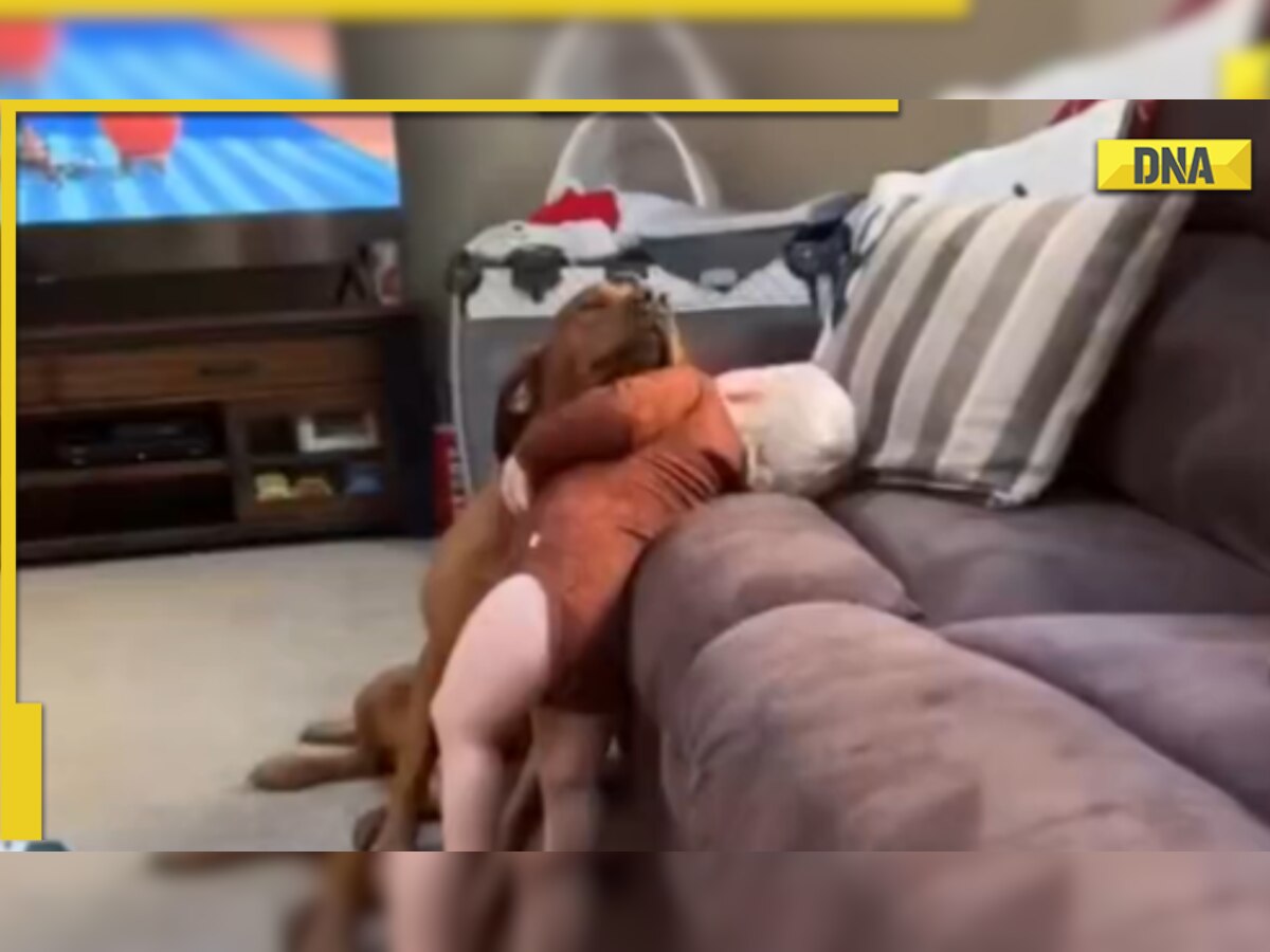 Viral: This awwdorable video of toddler cuddling with dog will simply melt your heart