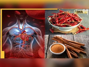 Winter Tips: नसों में खून के बहाव को तेज कर देंगी ये 5 चीजें, स्लो ब्लड सर्कुलेशन की समस्या होगी दूर