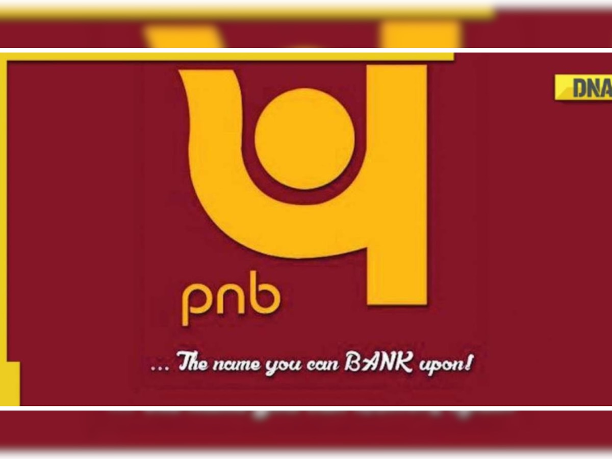 PNB mega e-auction of properties starts tomorrow, know how to participate 