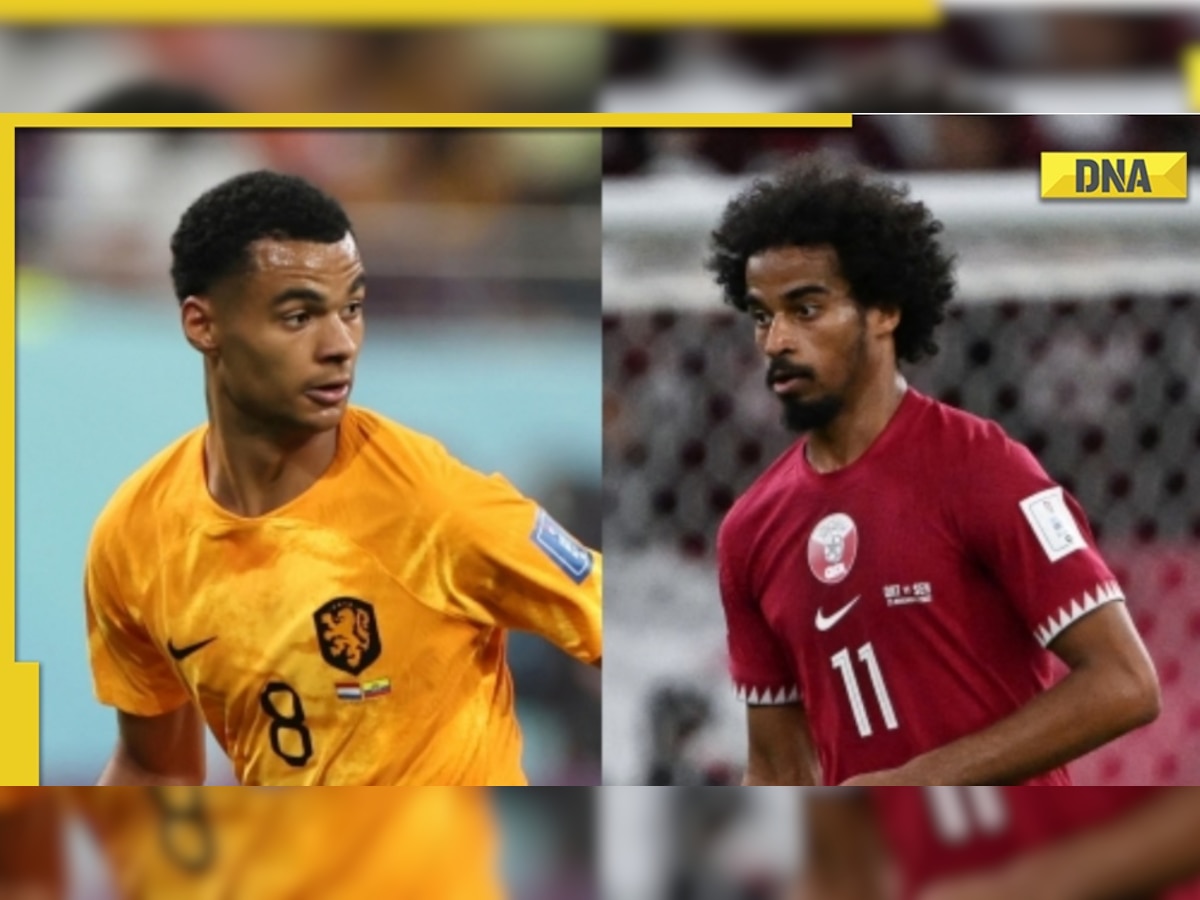 Netherlands vs Qatar Dream11 prediction: Fantasy football tips for NED vs QAT FIFA World Cup 2022, match 34