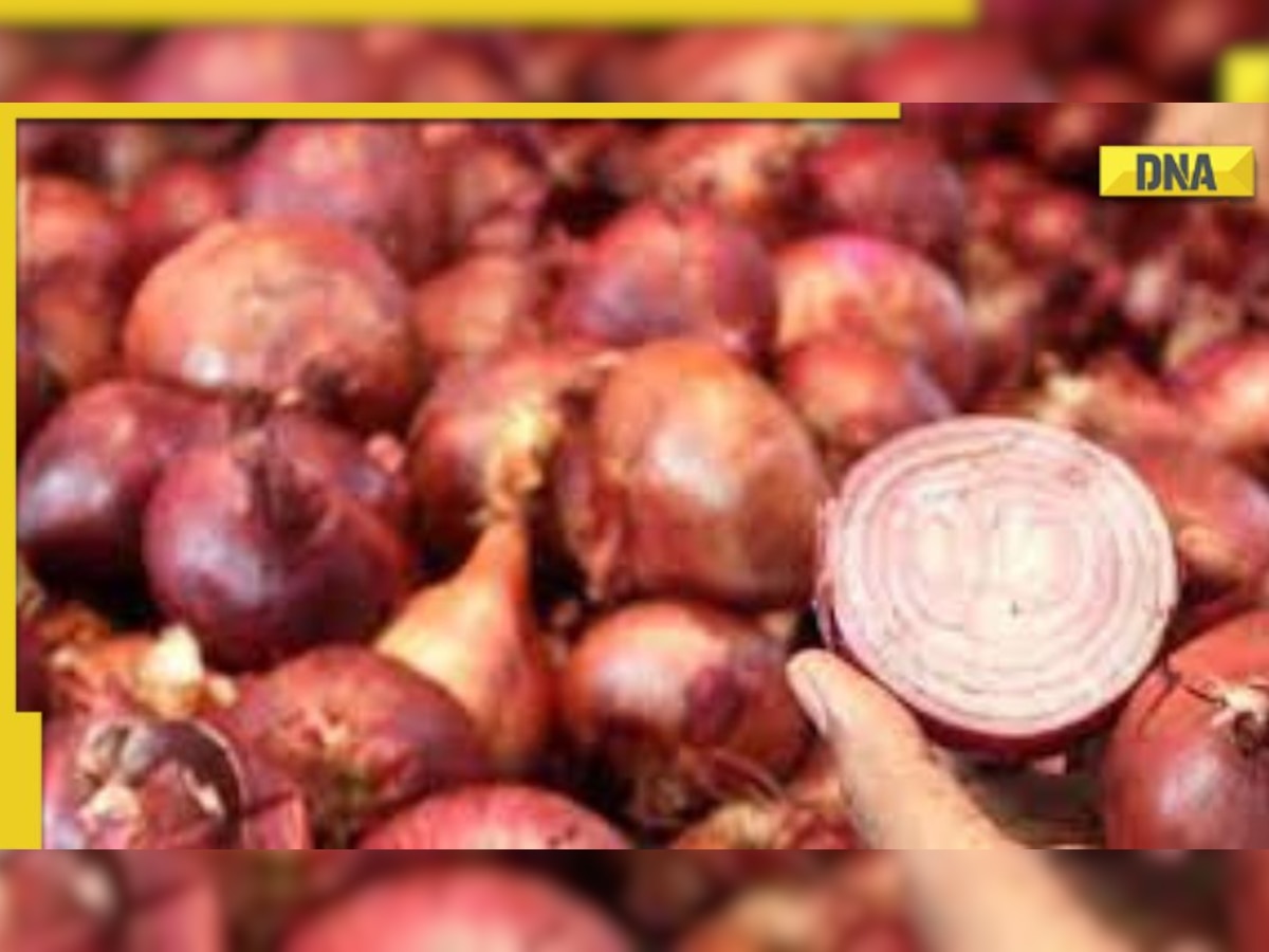 Farmer travels 415 kilometers to Bengaluru and receives only Rs 8 for 205 kgs of onions