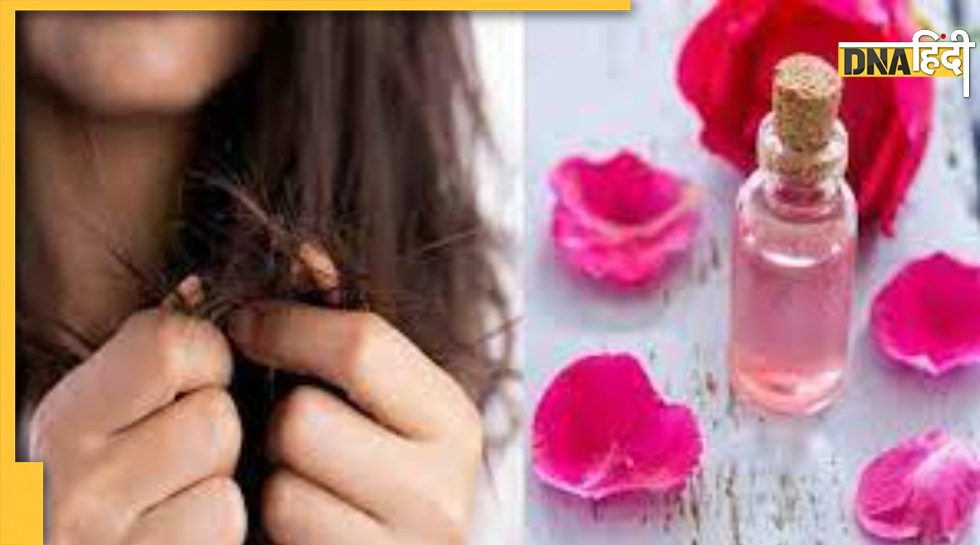 Flowers For Hair Care सर्दियों में ये 5 फूल बालों को रखेंगे हेल्दी और शाइनी, ऐसे करें इस्तेमाल