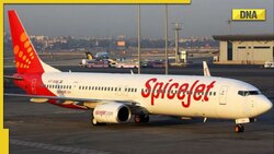 SpiceJet flight from Jeddah with 197 passengers on board makes emergency landing at Kochi airport 