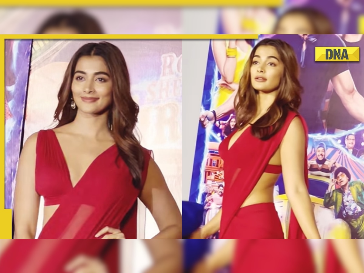 Pooja Six Video - Cirkus star Pooja Hegde flaunts her sexy curves in red saree, video goes  viral