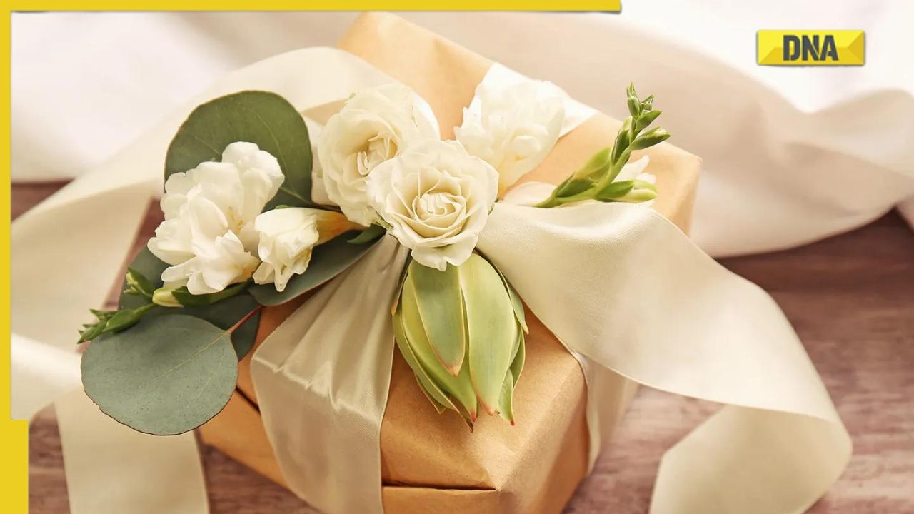 FNP: India's #1 Online Gift Store | Flowers, Cakes, Gift Hampers etc.