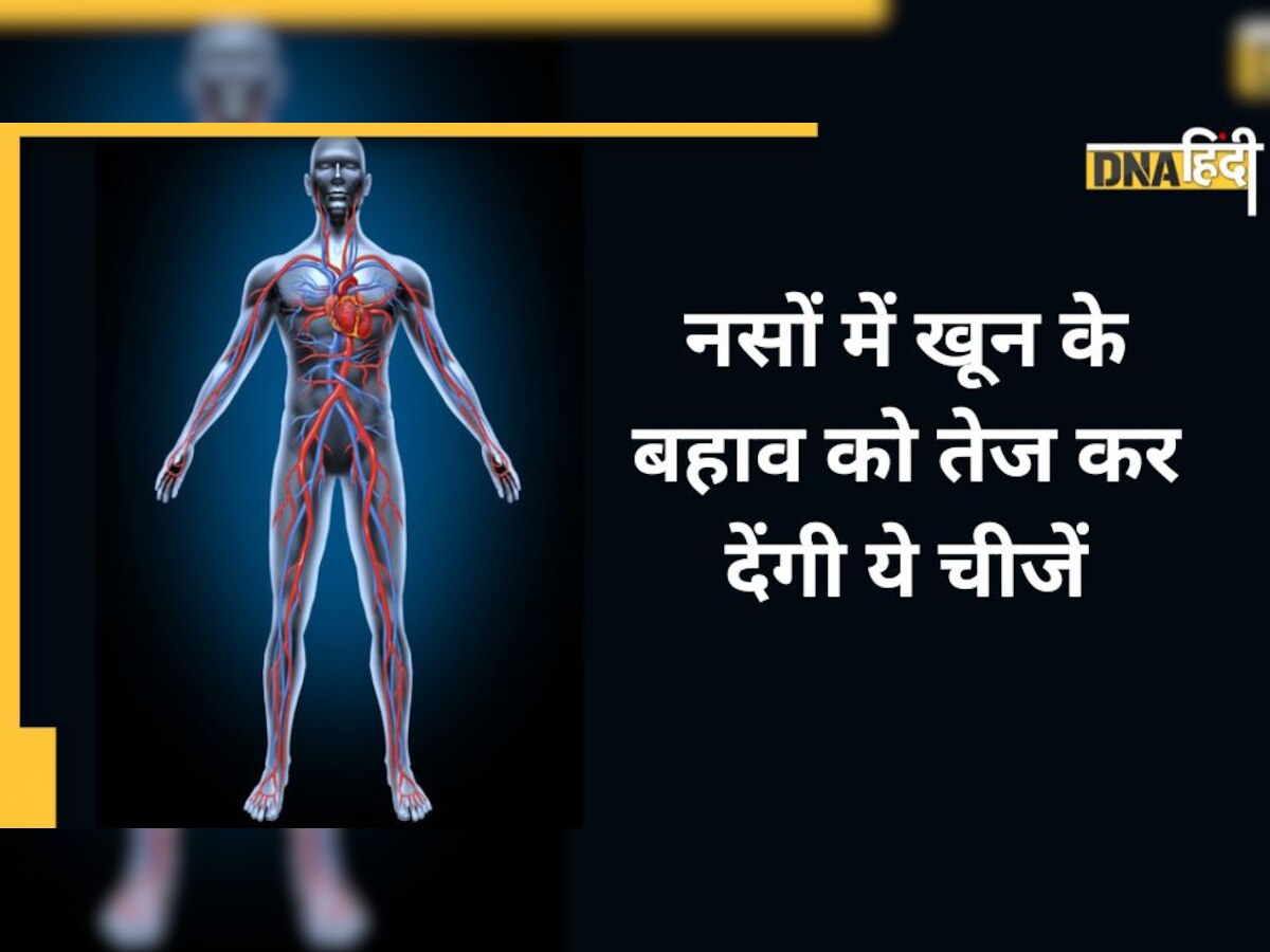 Increase Blood Flow: नसों में खून के बहाव को तेज कर देंगी ये चीजें, पैरों का दर्द और सुन्नाहट होगी दूर