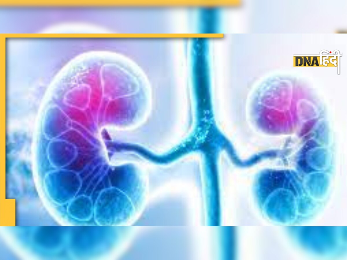 Kidney Donor Health Tips: 1 साल में एक बार चेकअप जरूर करवाएं, 3 महीनों तक ये चीजें बिल्कुल न खाएं 