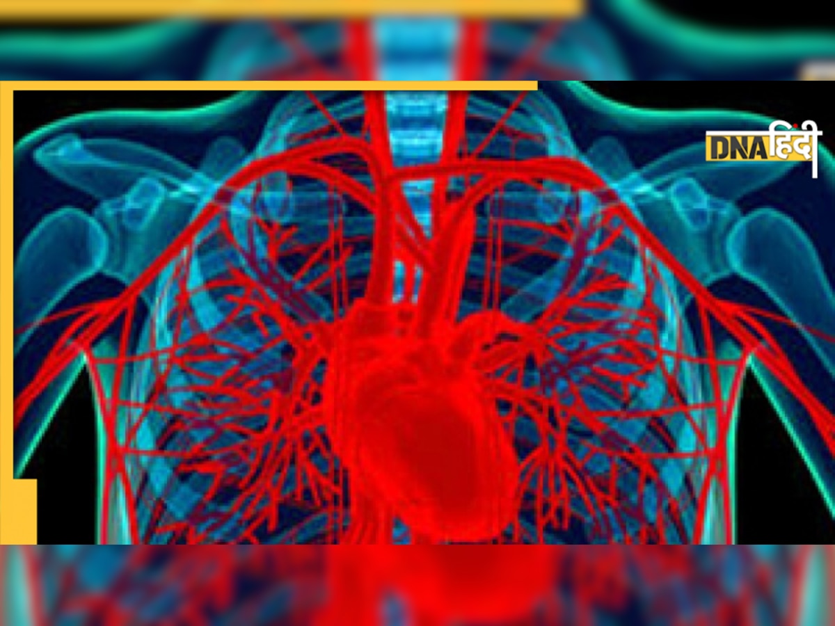 Heart Blockage at Home: घर पर कैसे हार्ट ब्लॉकेज का लगाएं पता, तुरंत अपनाएं ये घरेलू उपचार 