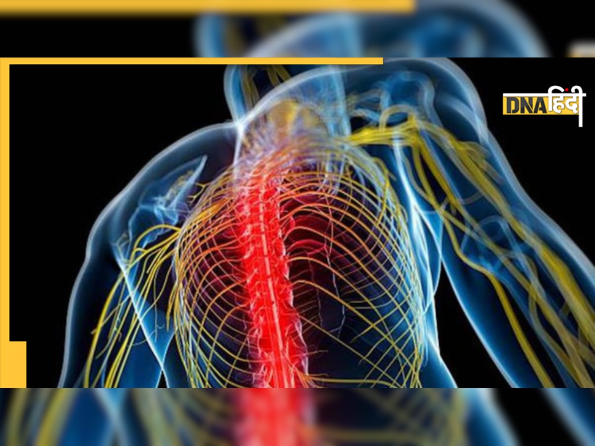 Nerves Blockage: नसों को सिकुड़ने से बचाएंगी ये पांच हेल्दी आदतें, नहीं होगा हार्ट और नर्व ब्लॉकेज