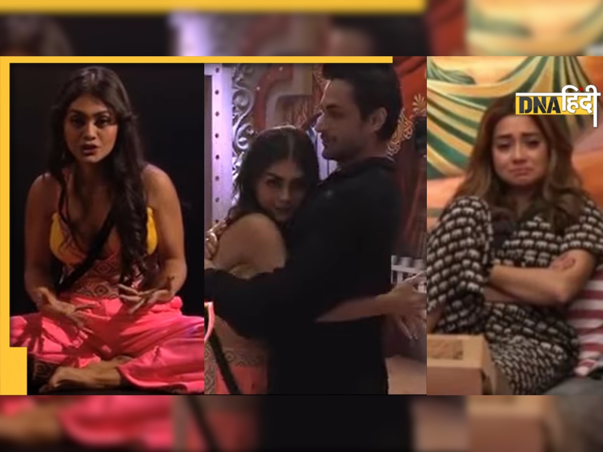 Bigg Boss 16 में हुई Sreejita De की वाइल्डकार्ड एंट्री, आते ही Shalin Bhanot के साथ किया कुछ ऐसा, उड़ गए Tina के होश