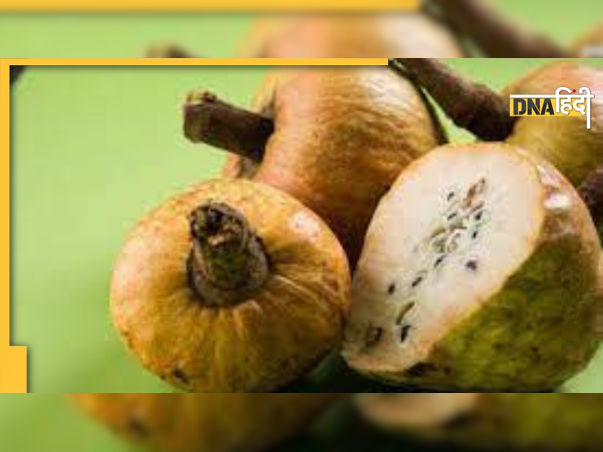 Diabetes Fruit Ramfal: ऊपर-नीचे हो रही है शुगर तो तुरंत खा लें ये जंगली मिठाई, काबू में आ जाएगी डायबिटीज