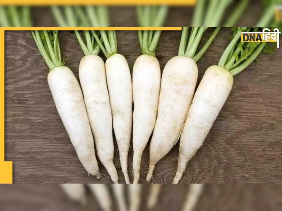 Radish Side Effect: इन 7 बीमारियों में मूली पहुंचा देगी हॉस्पिटल, ठंड में रहें ज्यादा सतर्क