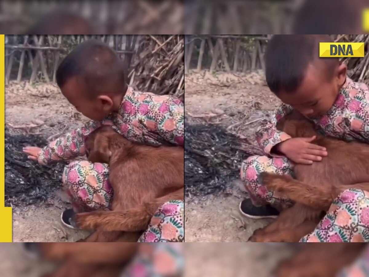 Viral video: Little boy embraces goat in chilling weather, netizens reach for tissues