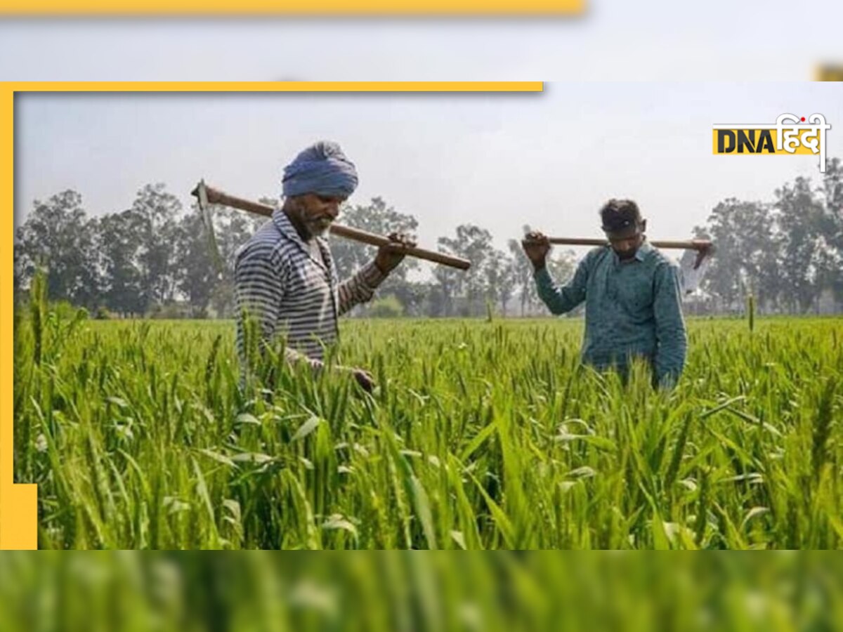 PM Kisan Yojana: अगर गलत तरीके से उठाया है योजना का लाभ, वरना सरकार जल्द ही करेगी कार्रवाई