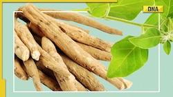 Ashwagandha: Uses, benefits and side effects
