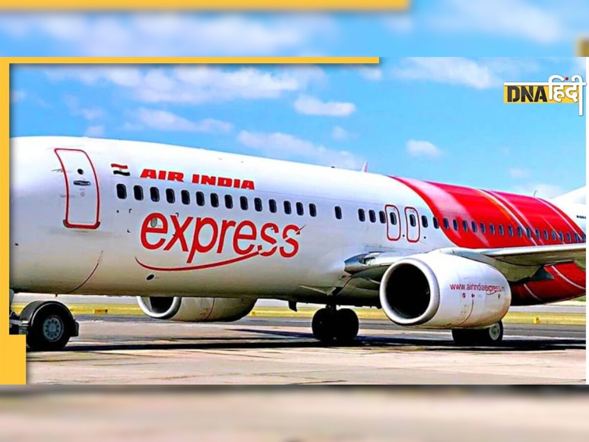 Air India Express की फ्लाइट में यात्रियों के साथ दुबई पहुंच गया सांप, विमान की लैंडिंग के बाद मचा हड़कंप 