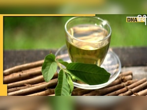 Blood Fat Remedy:  ब्लड में जमा गंदा कोलेस्ट्रॉल ढीला होकर आएगा बाहर, नसों की ब्लॉकेज खोलेंगी ये पत्तियां