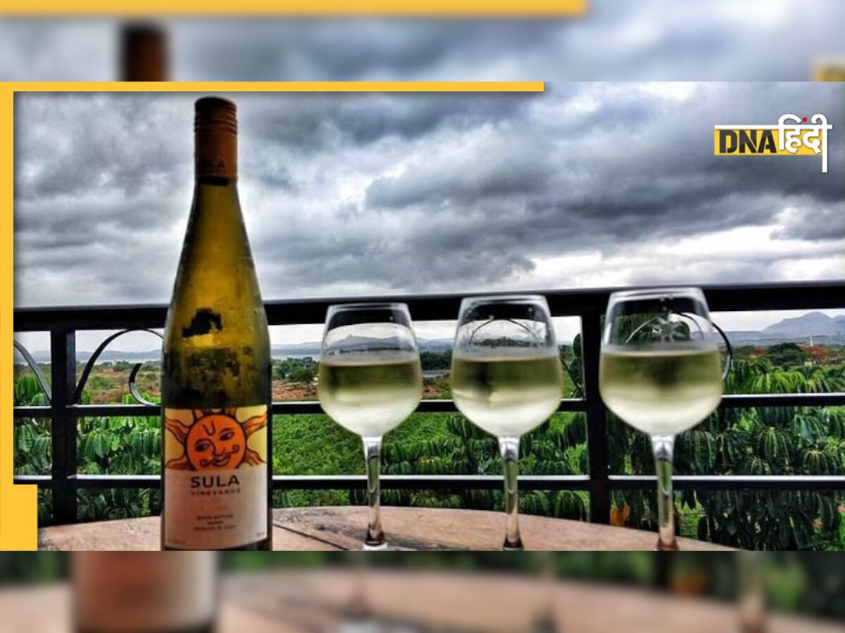 सब्सक्रिप्शन के लिए खुला Sula Vineyards IPO, क्या पैसा लगाना रहेगा फायदेमंद