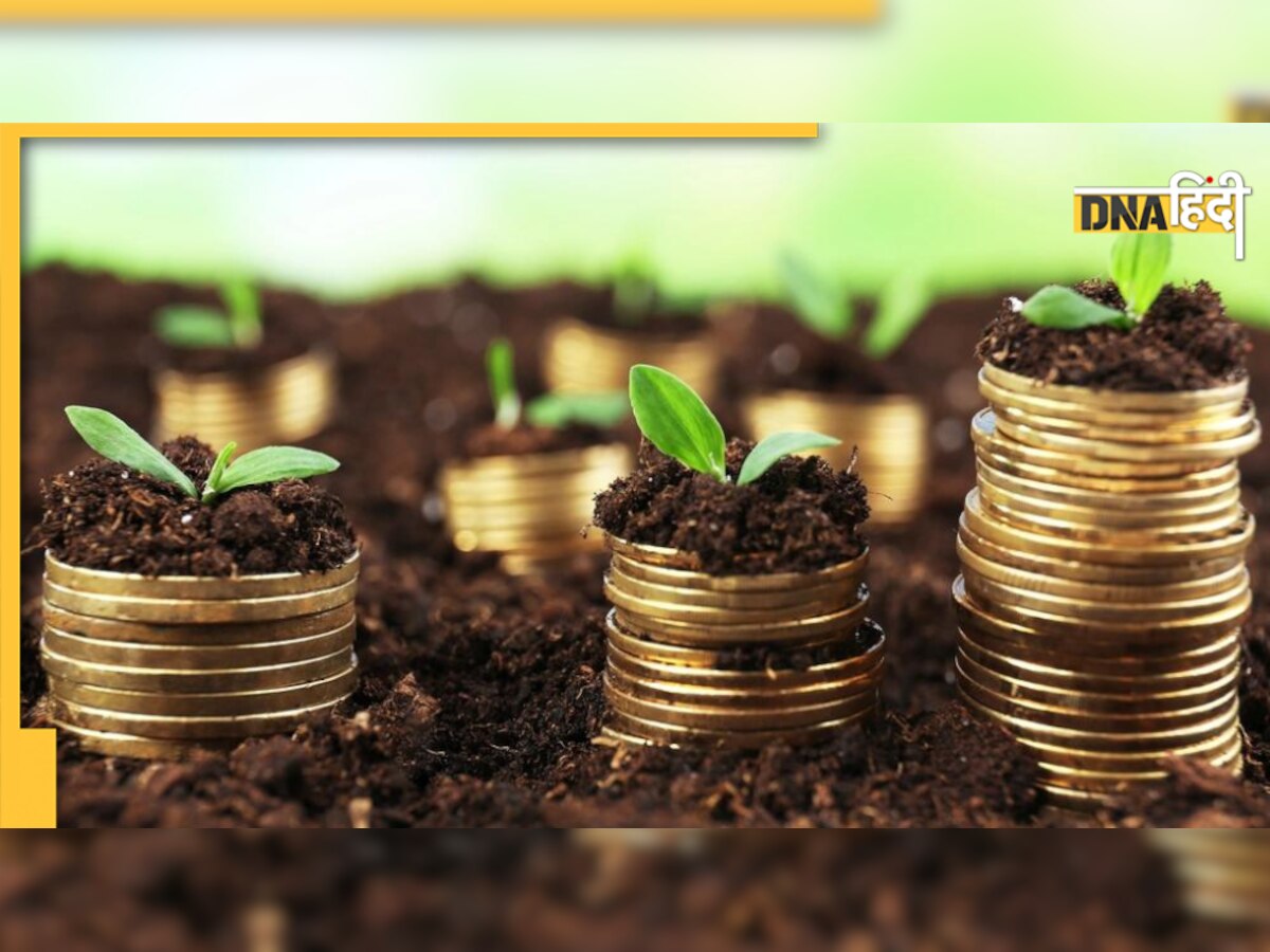 Investment Tips: नए साल पर यहां करें निवेश, होगा बेहतर मुनाफा