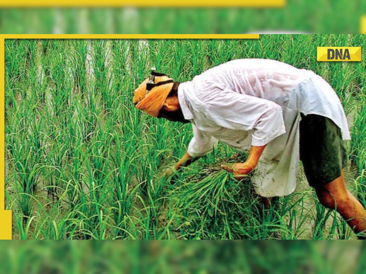 PM Kisan Samman Nidhi Yojana: Farmers of THIS state may not receive 13th installment, know why