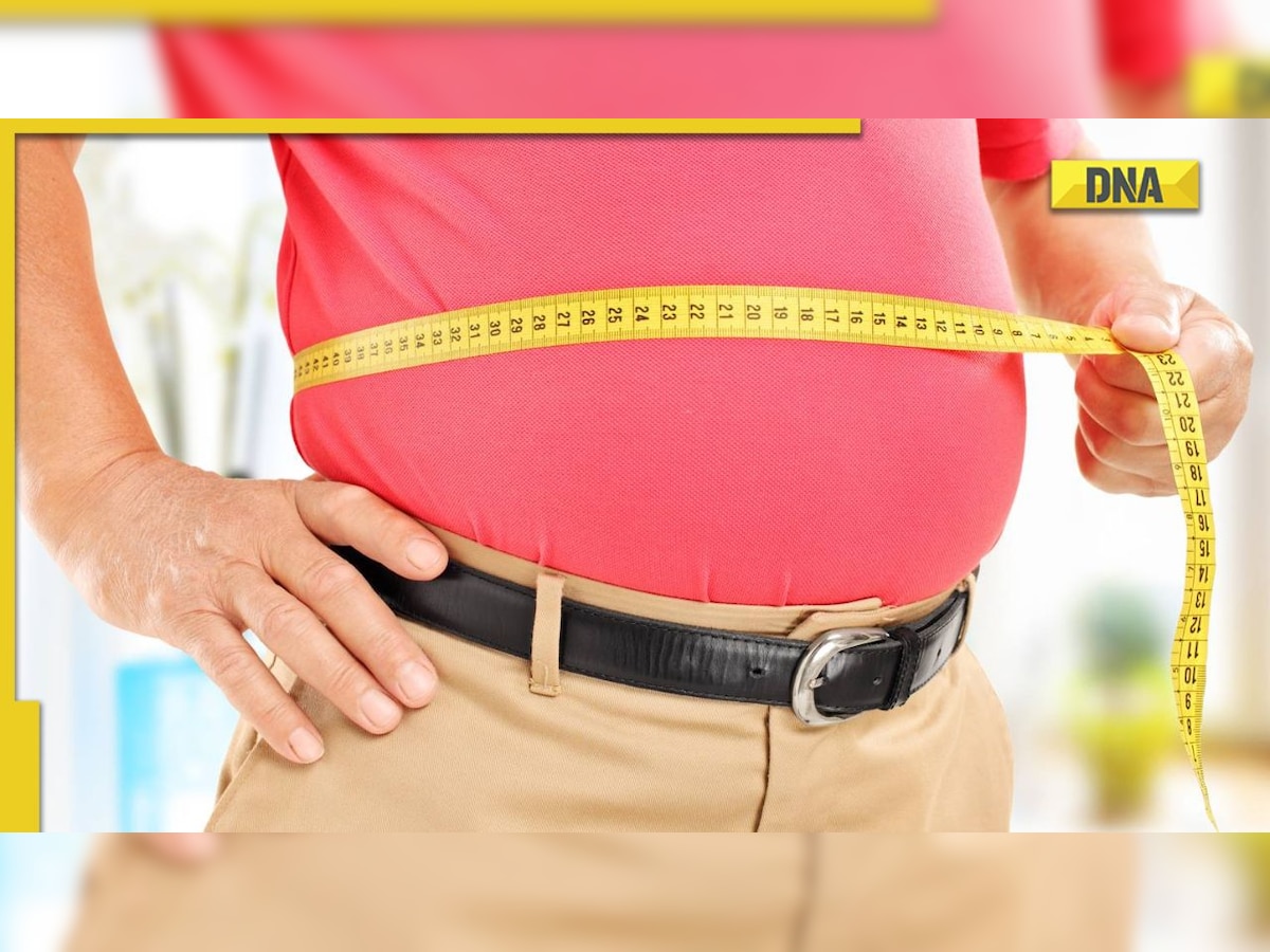 Obesity vs Overweight: What is the difference between being overweight and being obese?