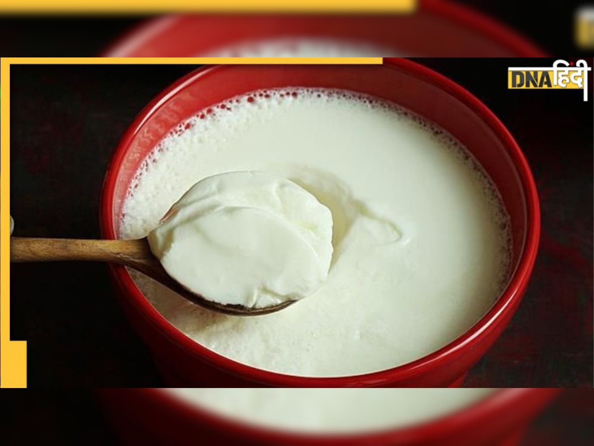 Benefits of Curd : हर रोज दही खाने से होंगे ये 10 फायदे, इंफेक्शन से शुगर तक सब होगा दूर