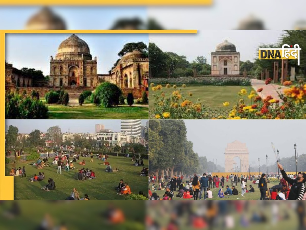 Best Park In Delhi: कड़कड़ती सर्दी में धूप सेंकते हुए मनाना चाहते हैं पिकनिक तो दिल्ली के ये पार्क हैं बेस्ट 