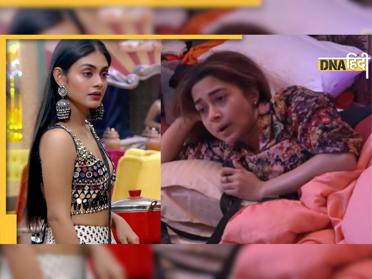 Bigg Boss 16: शो में Tina Dutta ने लीक किया Sreejita De के घर का पता, एक्ट्रेस के मंगेतर ने जाहिर किया गुस्सा