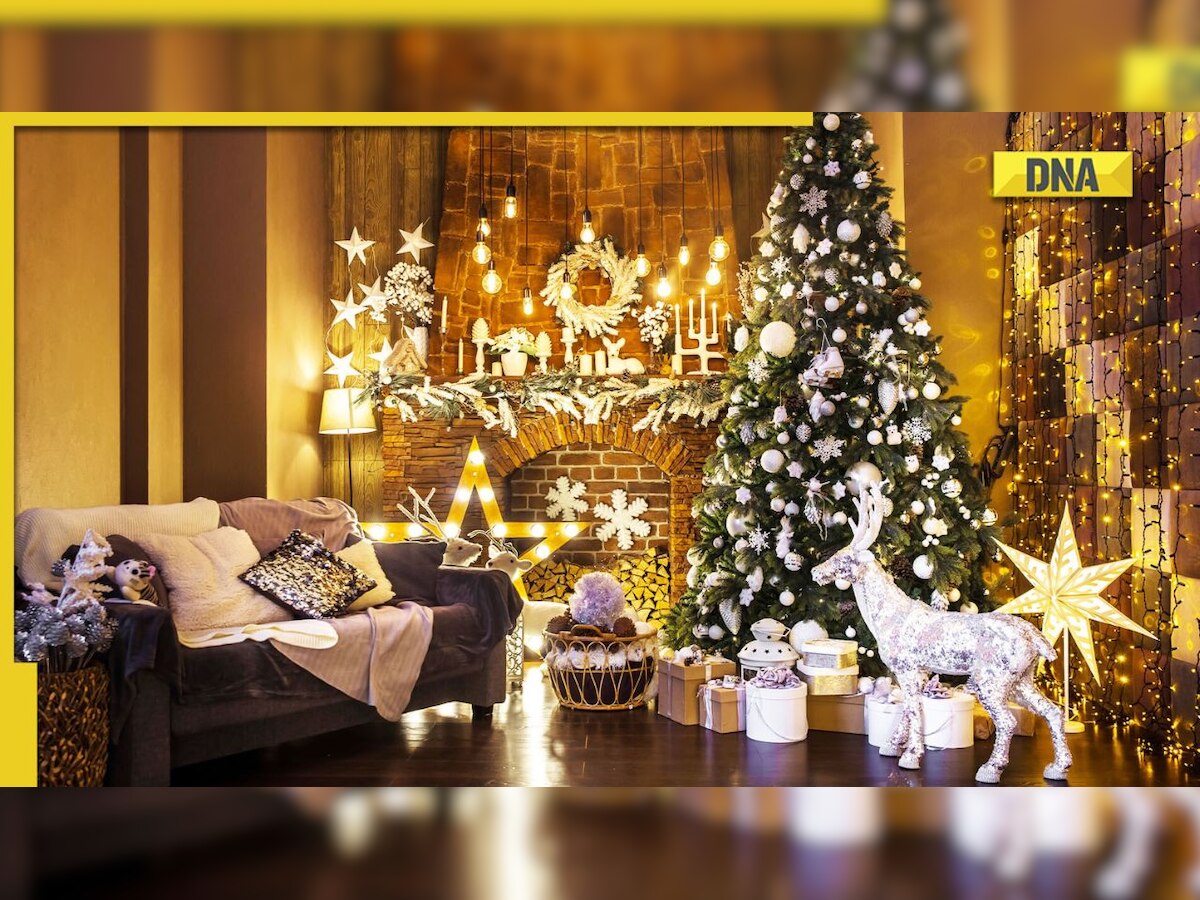 Christmas 2022: Try these 5 ways to decorate your Xmas tree