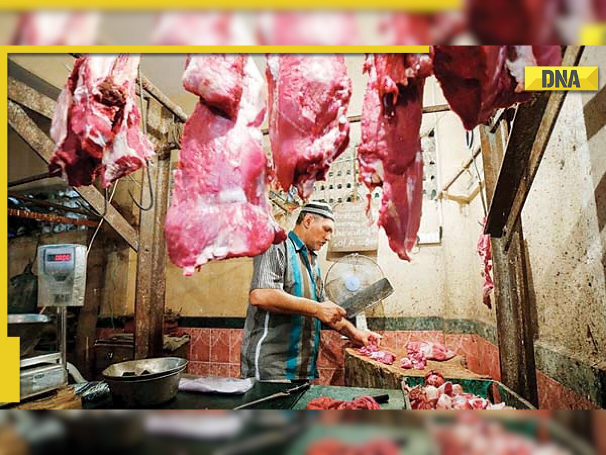 DNA Explainer: What is Karnataka ‘Anti-Halal’ Bill? Will it stop restaurants from serving halal meat?