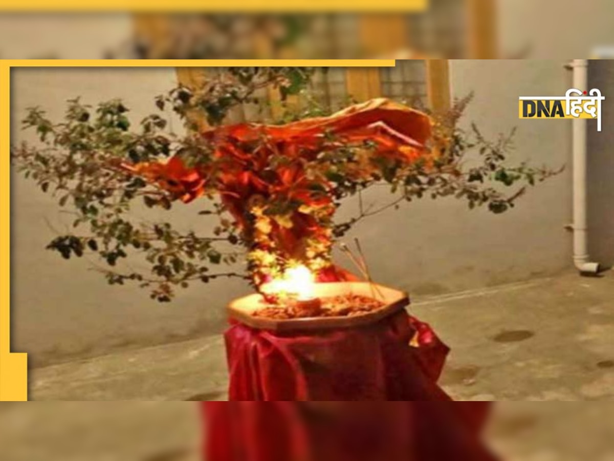 Tulsi Pujan 2022: आज क्रिसमस ही नहीं, तुलसी पूजा भी है, जानें आज तुलसी दान और पूजा का महत्व