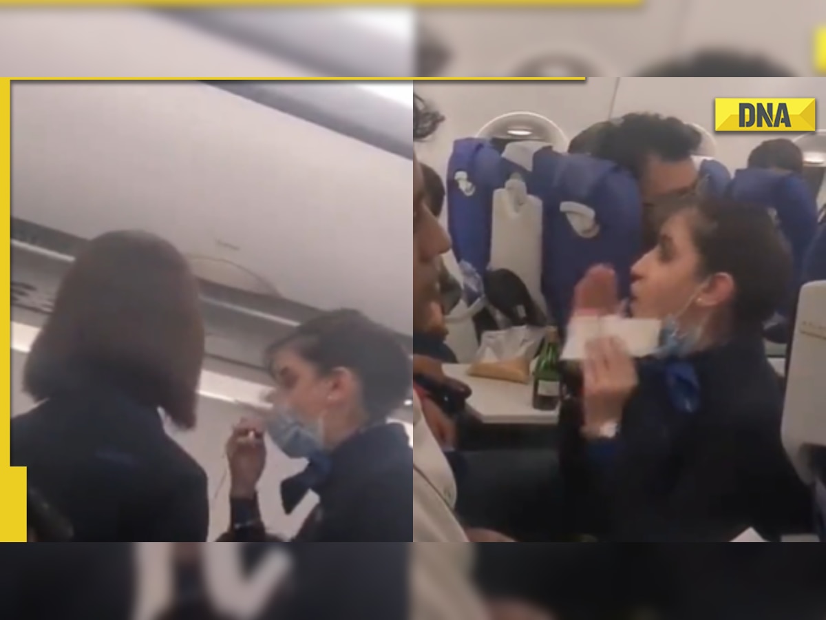 ‘I am not your servant’: Cabin crew and passenger fight mid-air in viral video