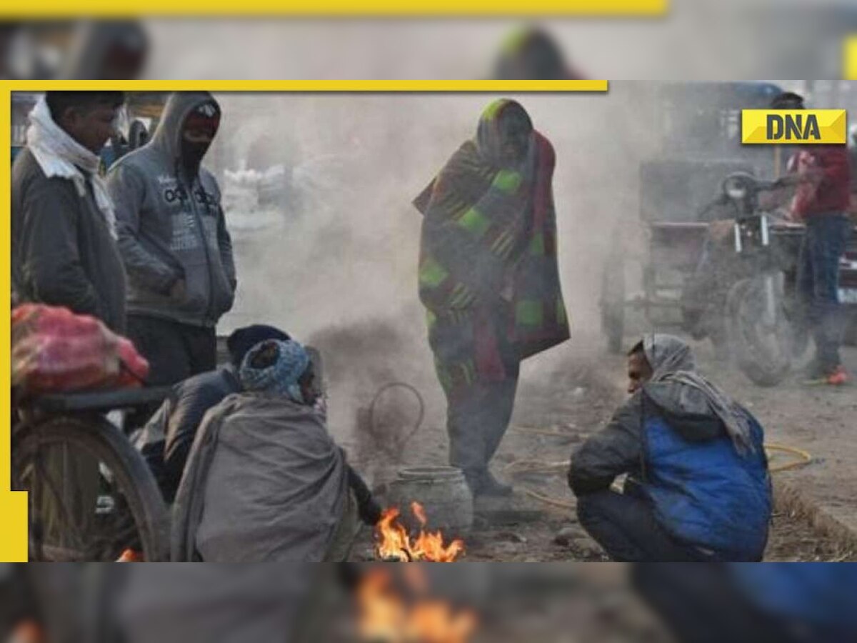 IMD Weather Update: North India witnesses severe cold and fog, temperatures expected to drop further