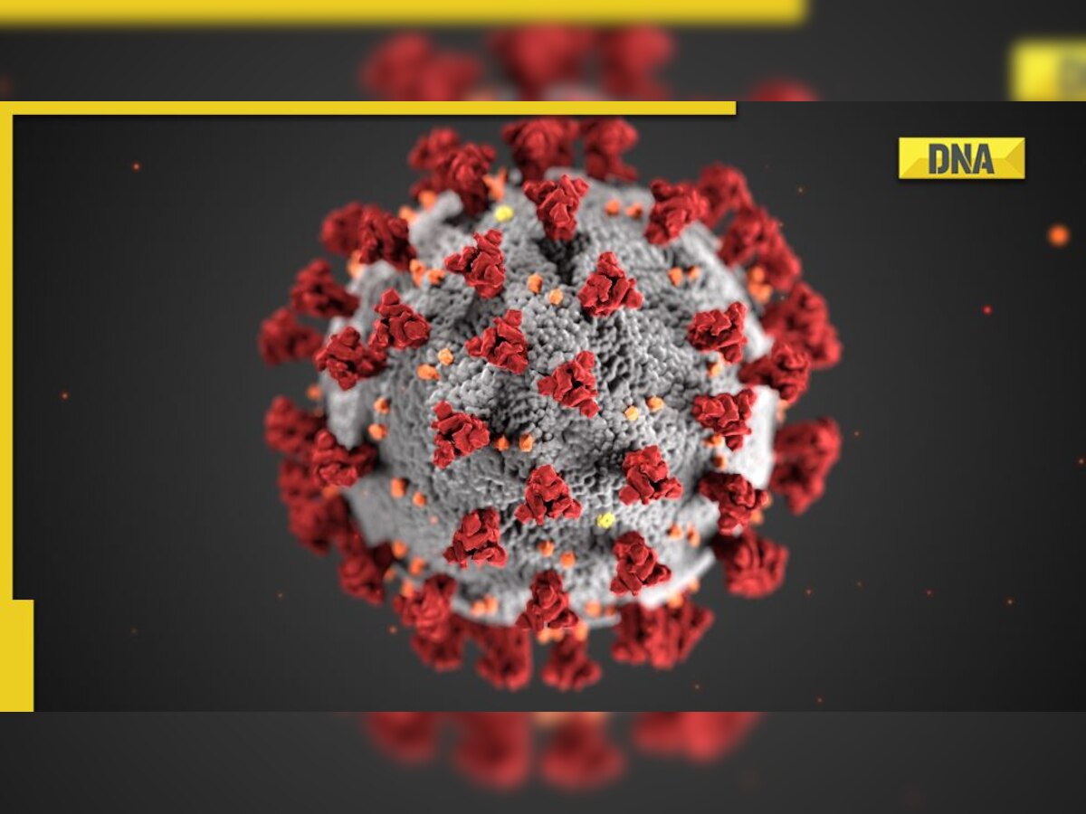 Fact check: Viral WhatsApp message claims Covid XBB variant is deadlier than Delta, here's the truth