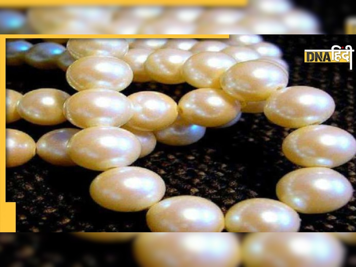 Pearl Benefits: गुस्सा कम और मन को शांत रखता है मोती, धारण करने से पहले जरूर करें ये काम