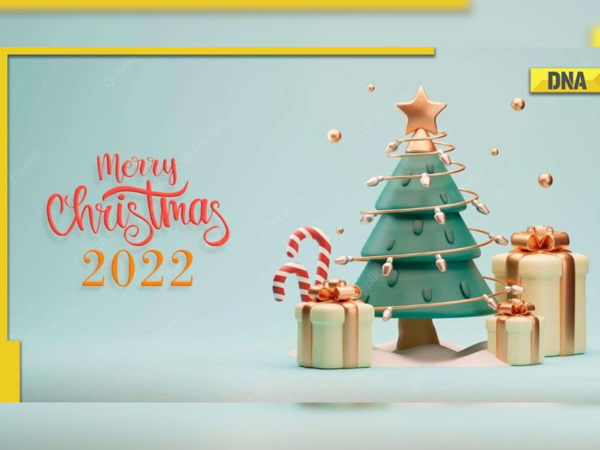 Christmas 2022: Here are some famous dishes for Indians to eat during Christmas