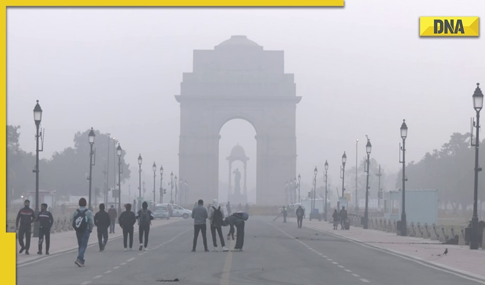 IMD Weather Update: Cold Wave Outbreak In Delhi For Next 2 Days, North ...