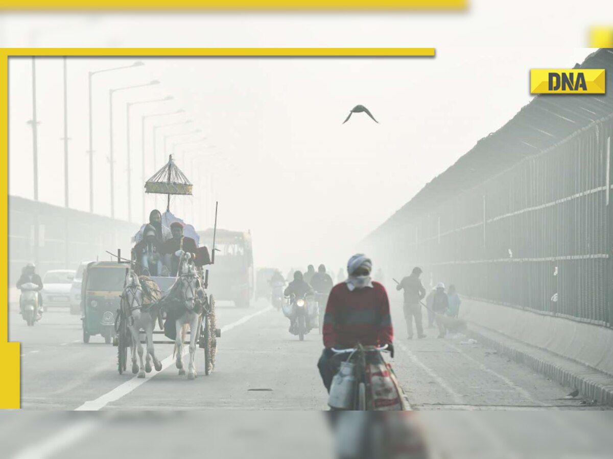 IMD weather forecast: Delhi, Rajasthan, Haryana to witness dense fog, cold wave for next 24 hours