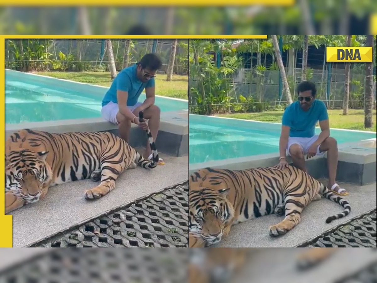 Santhanam shares video of himself with tiger at petting zoo, gets called out on Twitter for 'encouraging animal abuse'