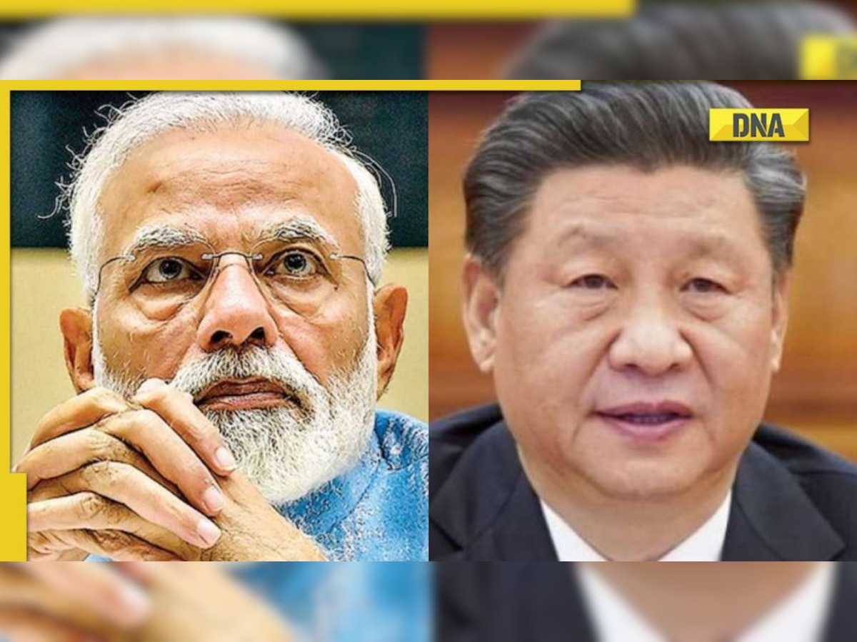 Two Asian tigers, two distinctive roars