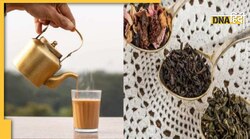 Tea Leaves Purity Check: कहीं आप तो नहीं पी रहे मिलावटी चायपत्ती, घर पर ही कर सकते हैं इसकी शुद्धता की जांच