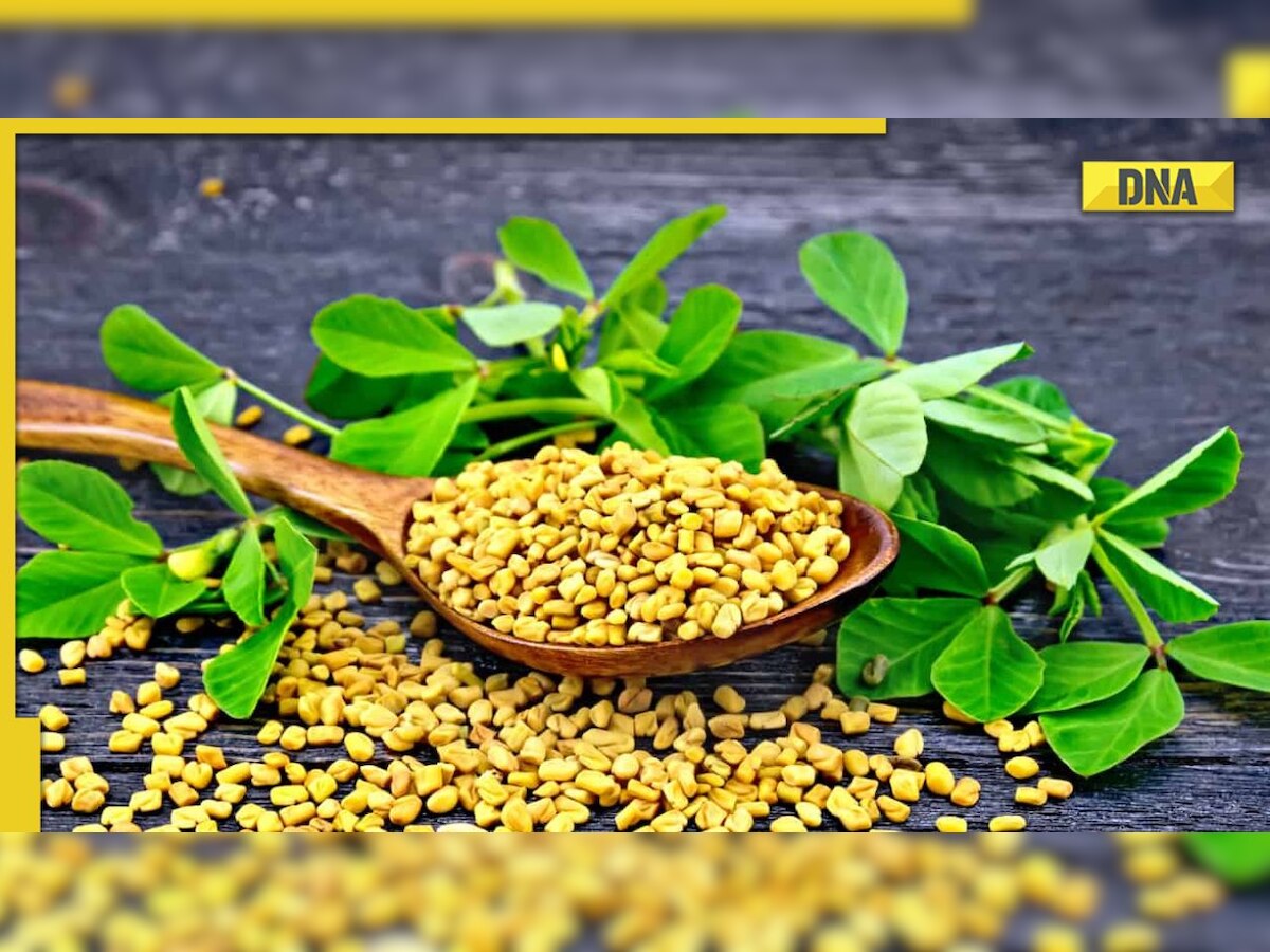 Fenugreek Five Health Benefits Of Methi In Winters