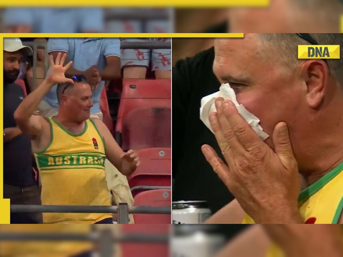 WATCH: Fan gets hit on nose after missing a crowd catch in Sydney Thunder vs Brisbane Heat BBL 12 match