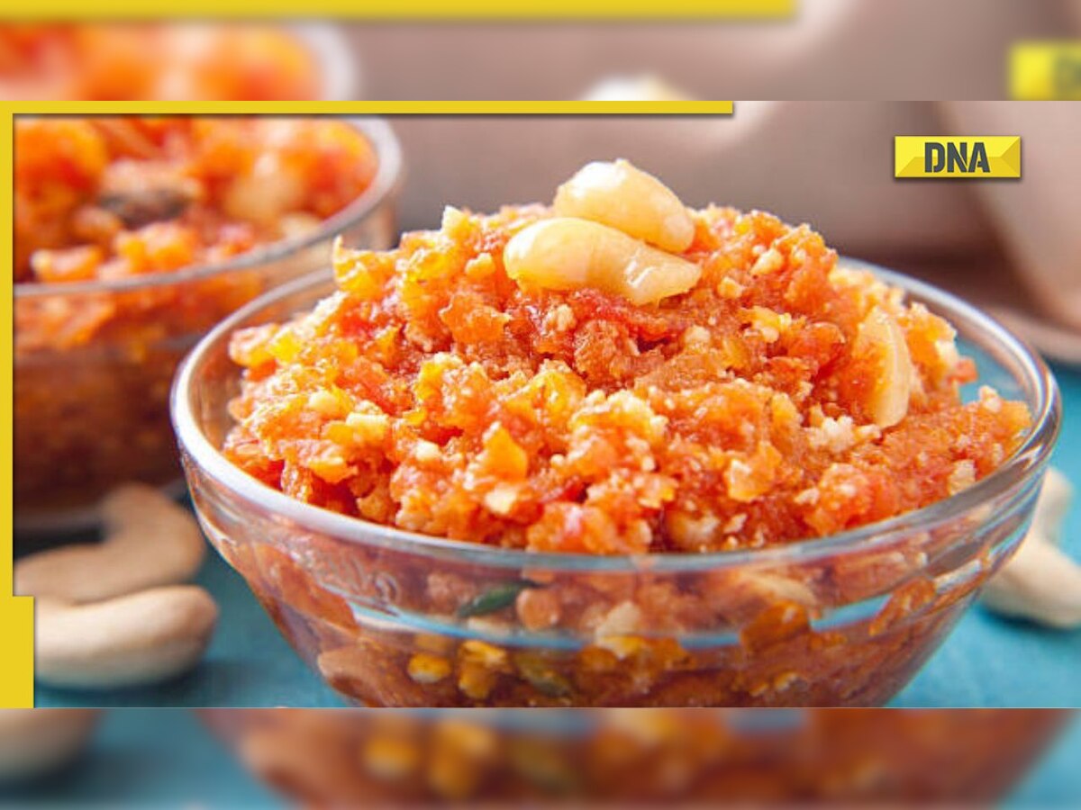 Carrot pudding: Try this healthy recipe of gajar ka halwa for morning break-fast