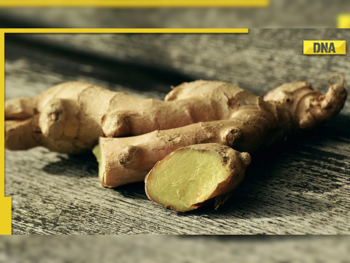 Ginger as a natural remedy for sore throat: Know how it works