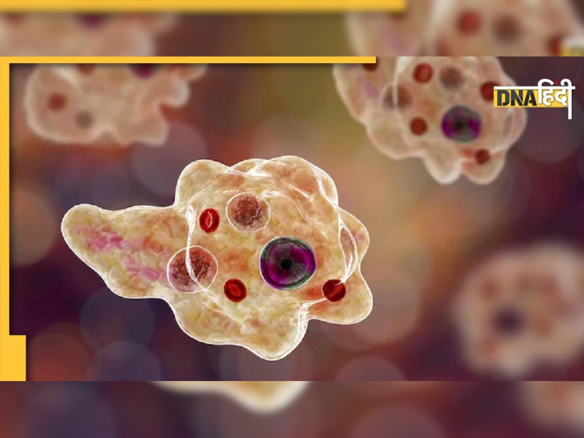 Corona के बाद अब Brain-Eating Amoeba ने बढ़ाई टेंशन, दक्षिण कोरिया में मिला पहला केस, जानें कितनी खतरनाक है यह बीमारी