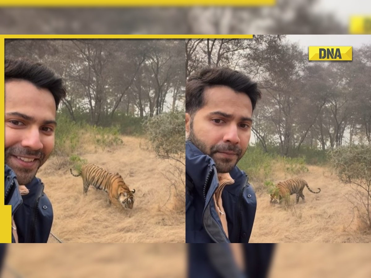 Varun Dhawan takes selfie with tiger at jungle safari on New Year vacation, quips 'when Bhediya met tiger'