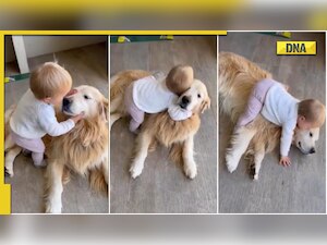 This clip of a toddler hugging dog is totally aww-dorable, viral video
