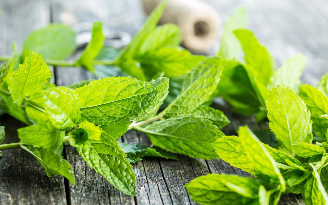 7 Health Benefits of Mint Leaves You Don’t Know About 7 Health Benefits of Mint Leaves You Don’t Know About