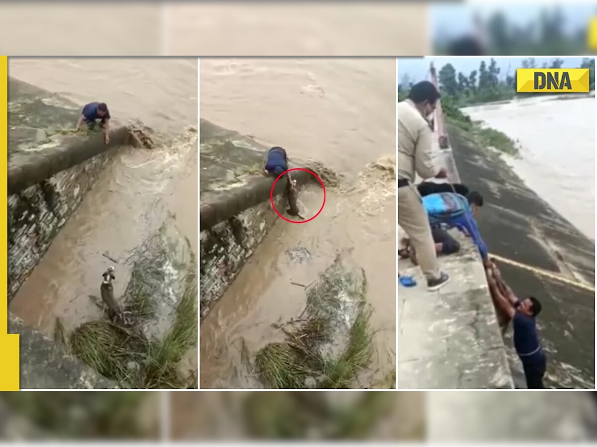 Viral video: Man risks life to save dog from drowning, internet calls him 'real hero'